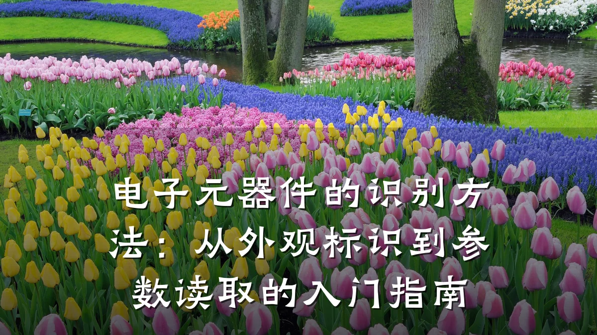 电子元器件的识别方法：从外观标识到参数读取的入门指南