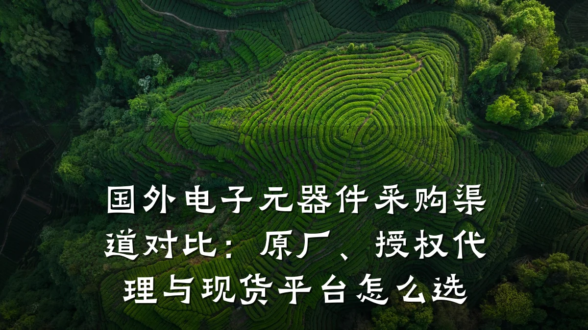 国外电子元器件采购渠道对比:原厂、授权代理与现货平台怎么选