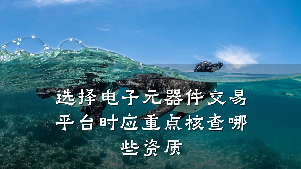 选择电子元器件交易平台时应重点核查哪些资质
