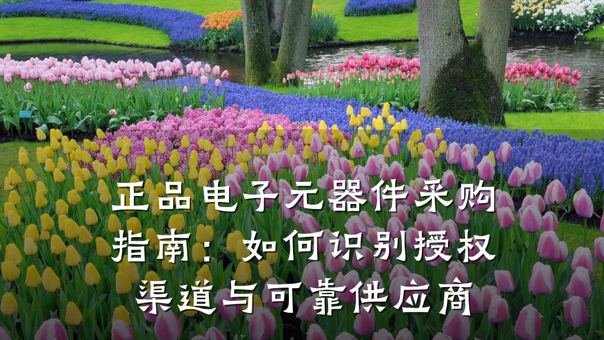 正品电子元器件采购指南：如何识别授权渠道与可靠供应商