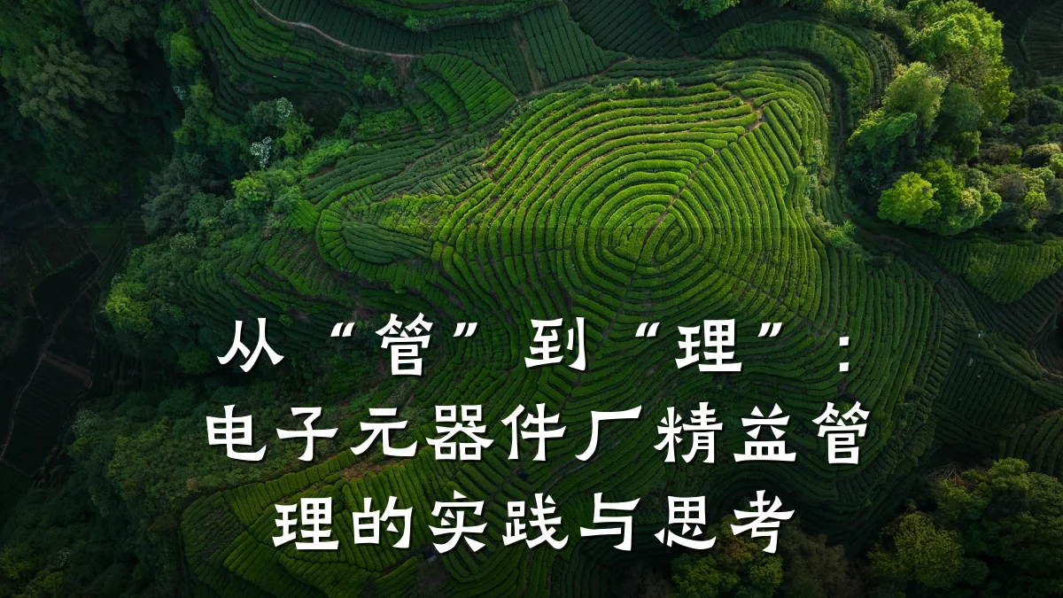 从“管”到“理”：电子元器件厂精益管理的实践与思考