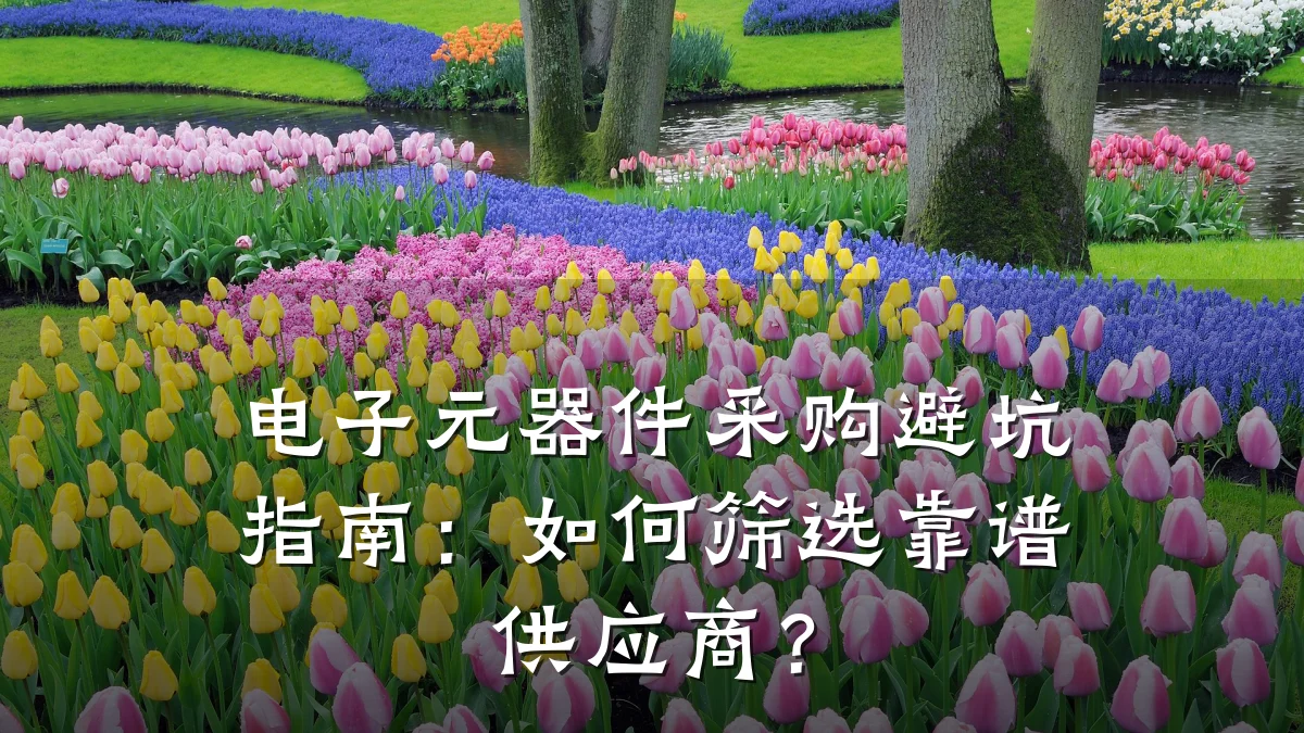 电子元器件采购避坑指南：如何筛选靠谱供应商？