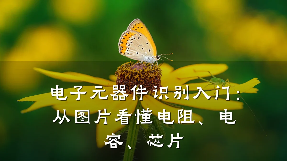 电子元器件识别入门：从图片看懂电阻、电容、芯片