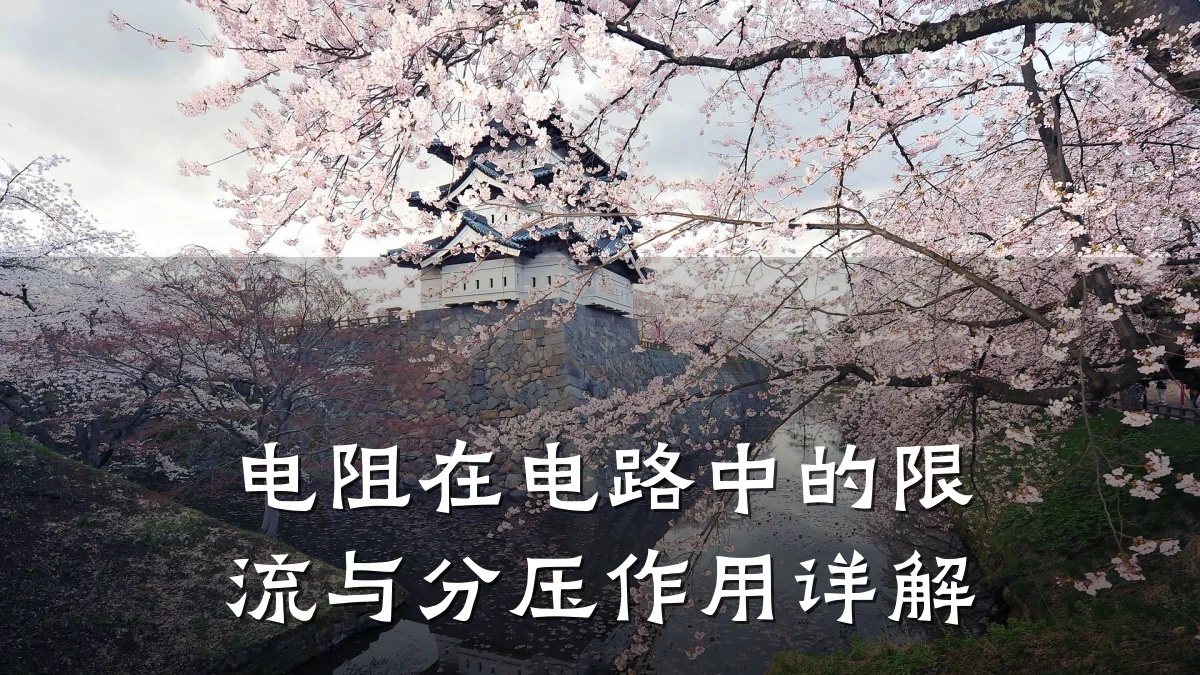 电阻在电路中的限流与分压作用详解