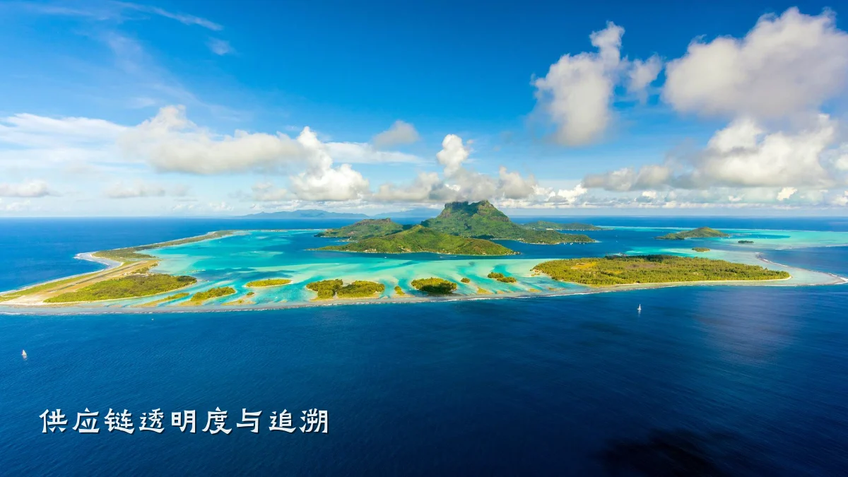 供应链透明度与追溯