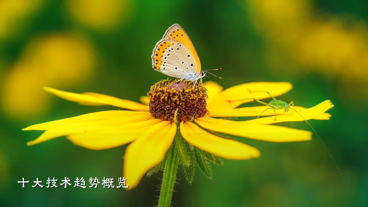 十大技术趋势概览