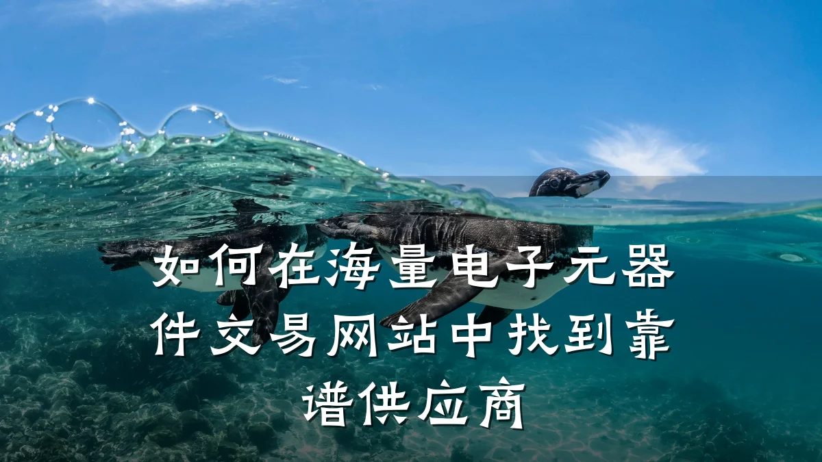 如何在海量电子元器件交易网站中找到靠谱供应商