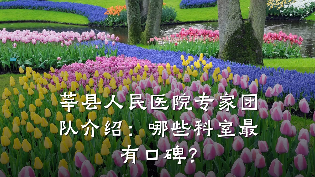 莘县人民医院专家团队介绍：哪些科室最有口碑？