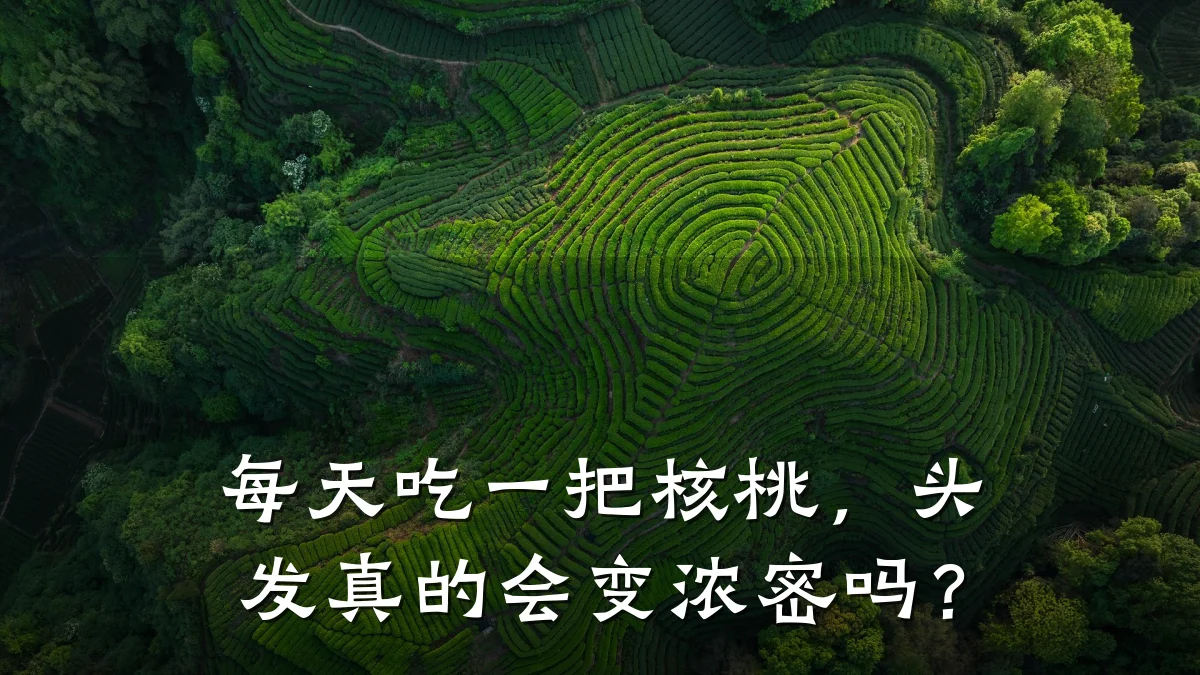 每天吃一把核桃，头发真的会变浓密吗？