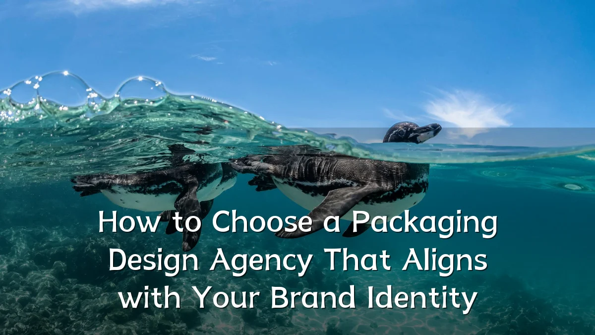 How to Choose a Packaging Design Agency That Aligns with Your Brand Identity