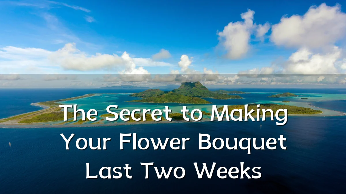 The Secret to Making Your Flower Bouquet Last Two Weeks