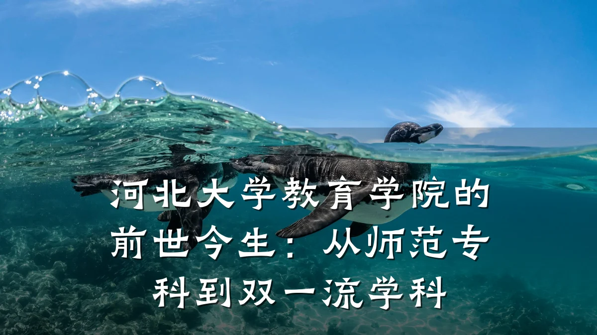河北大学教育学院的前世今生：从师范专科到双一流学科
