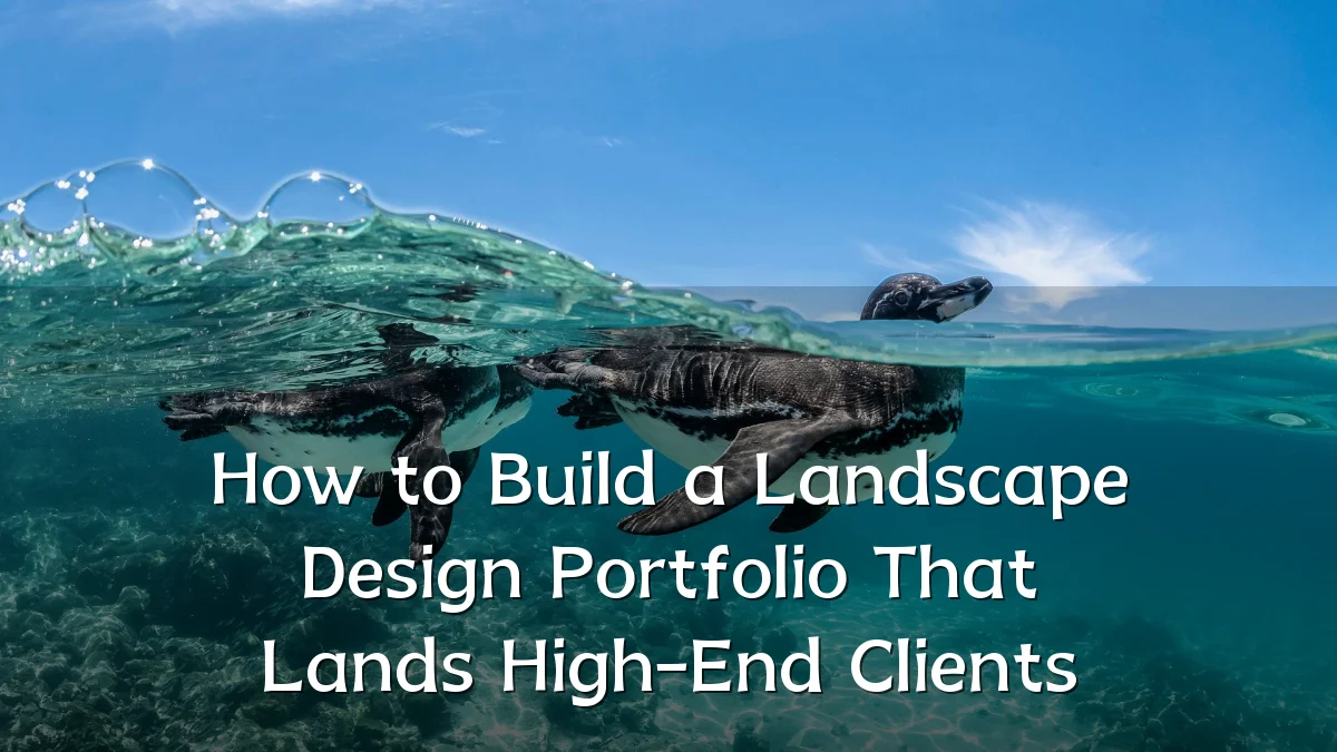 How to Build a Landscape Design Portfolio That Lands High-End Clients