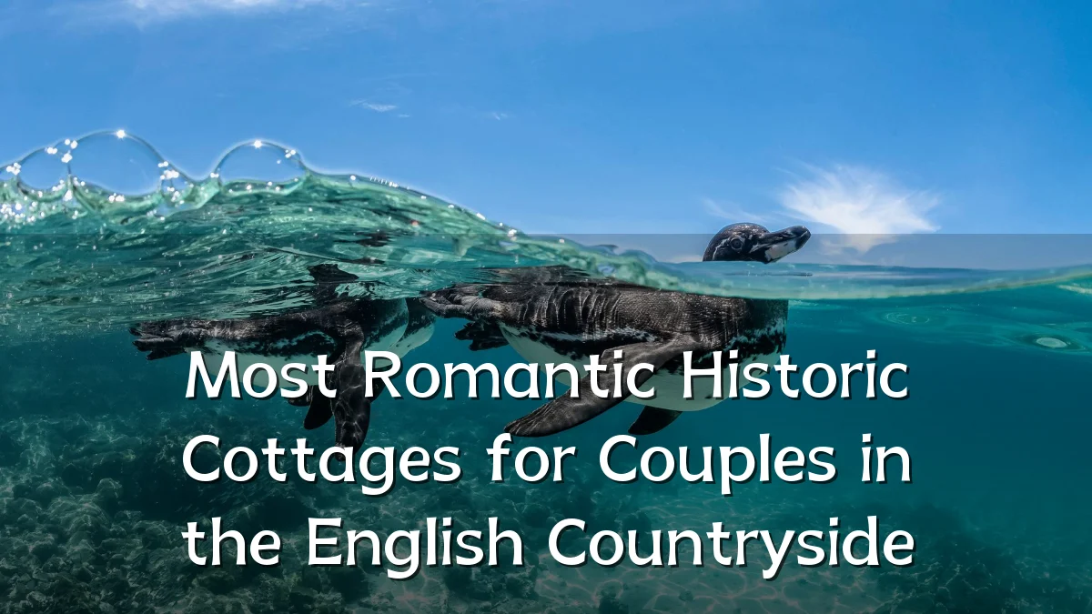 Most Romantic Historic Cottages for Couples in the English Countryside