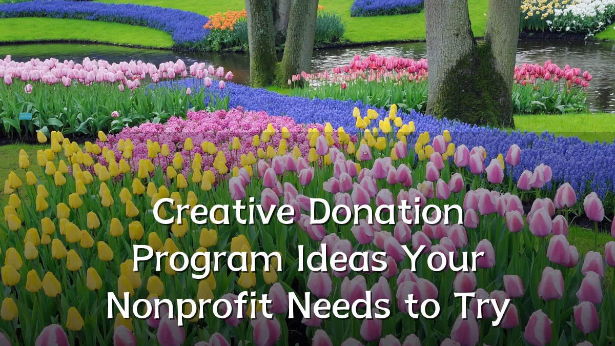 Creative Donation Program Ideas Your Nonprofit Needs to Try