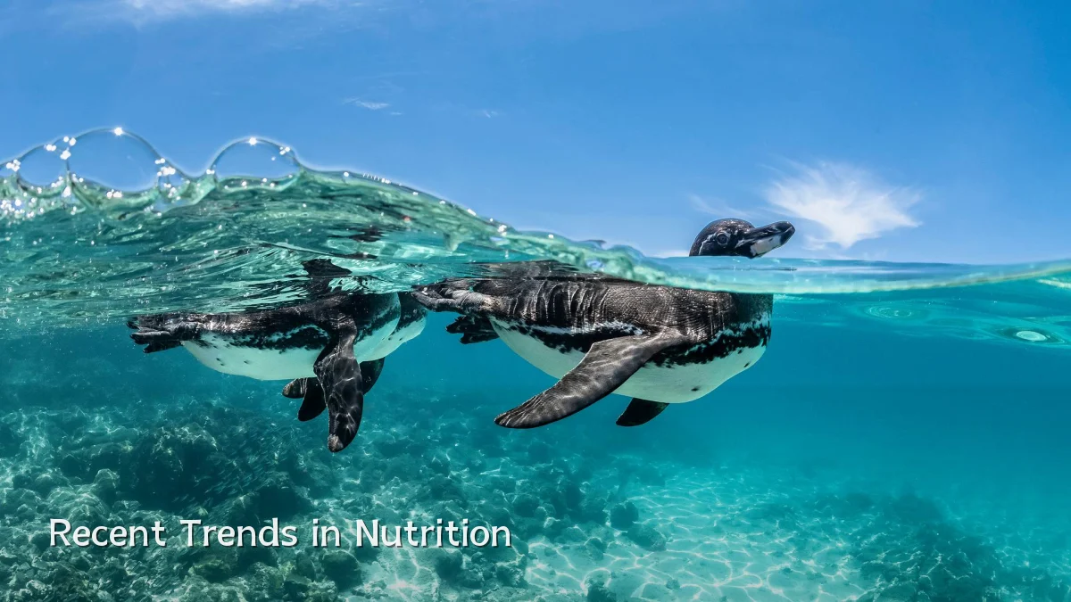 Recent Trends in Nutrition