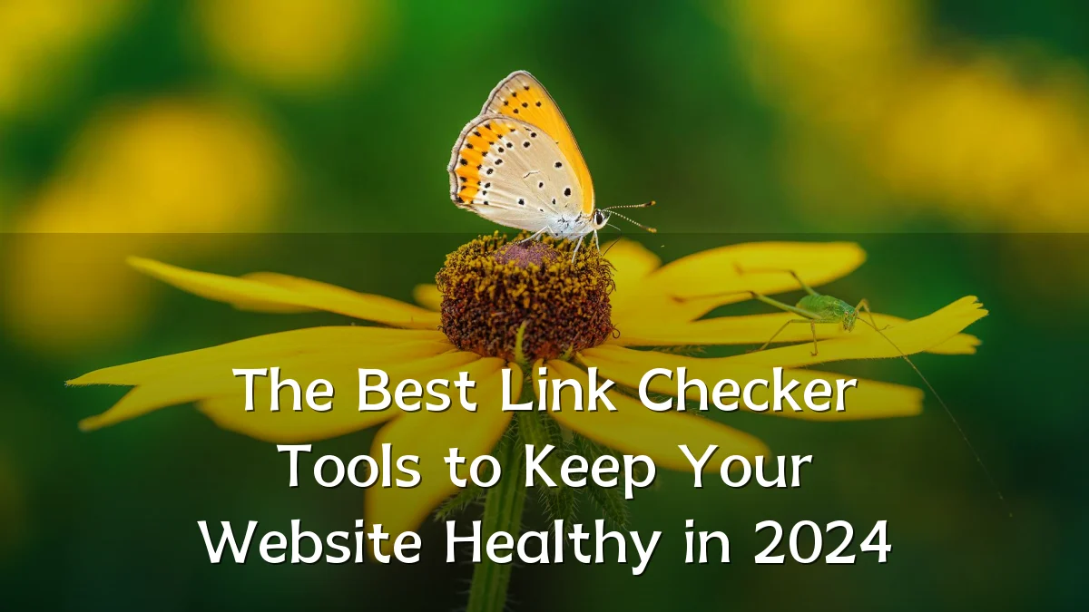The Best Link Checker Tools to Keep Your Website Healthy in 2024