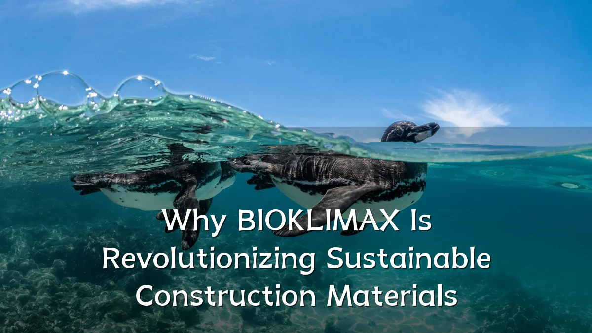 Why BIOKLIMAX Is Revolutionizing Sustainable Construction Materials