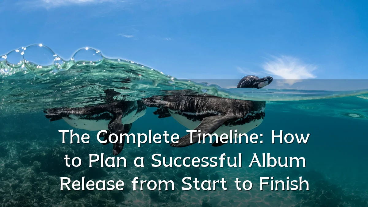 The Complete Timeline: How to Plan a Successful Album Release from Start to Finish