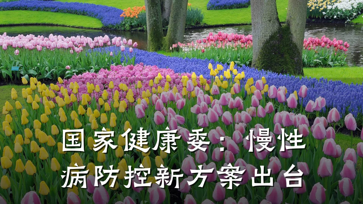 国家健康委：慢性病防控新方案出台