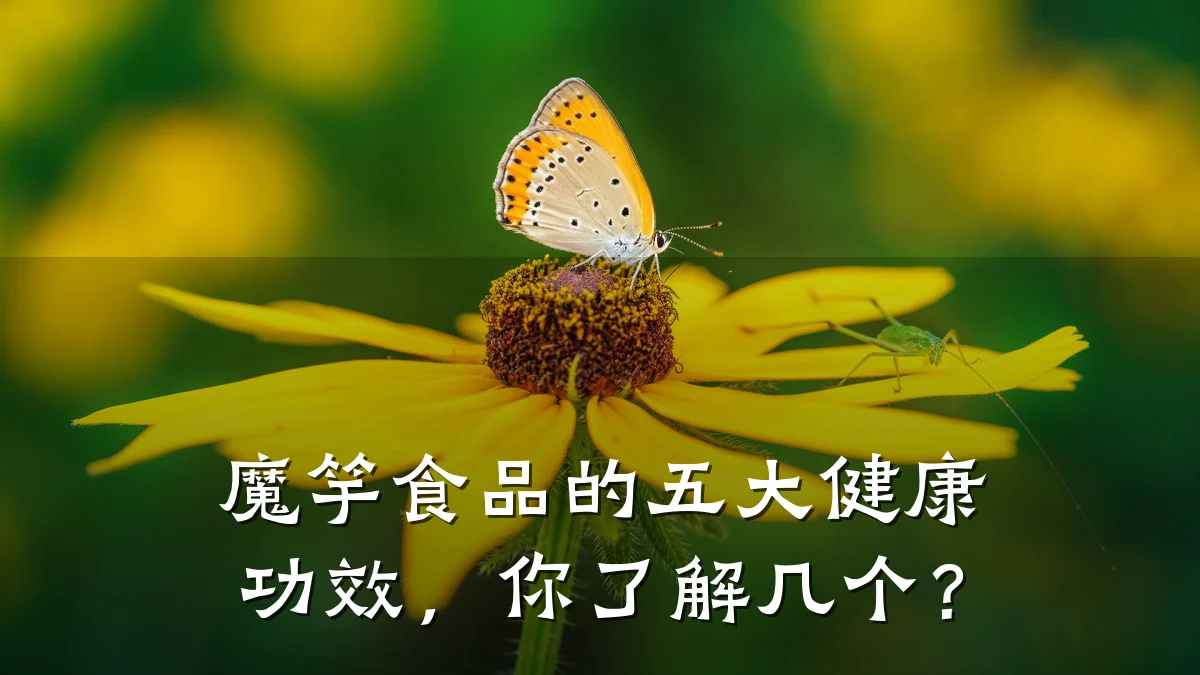 魔竽食品的五大健康功效，你了解几个？