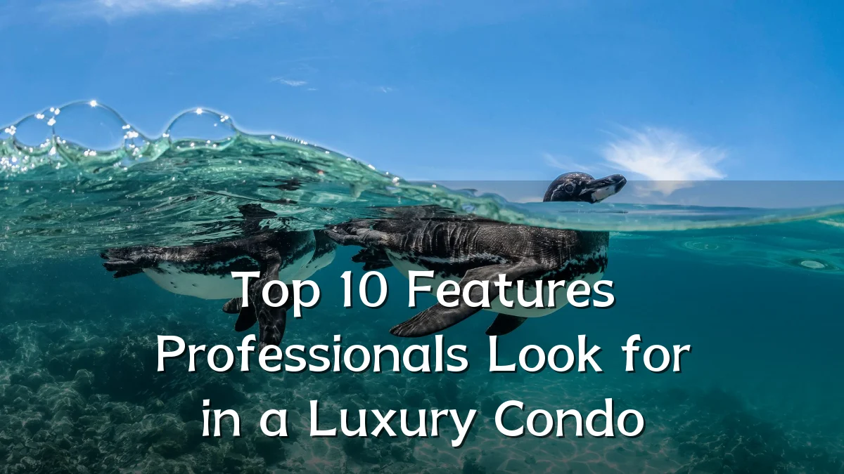 Top 10 Features Professionals Look for in a Luxury Condo