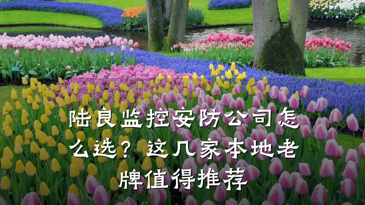 陆良监控安防公司怎么选？这几家本地老牌值得推荐
