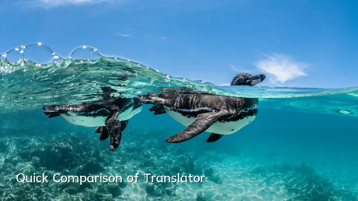 Quick Comparison of Translator