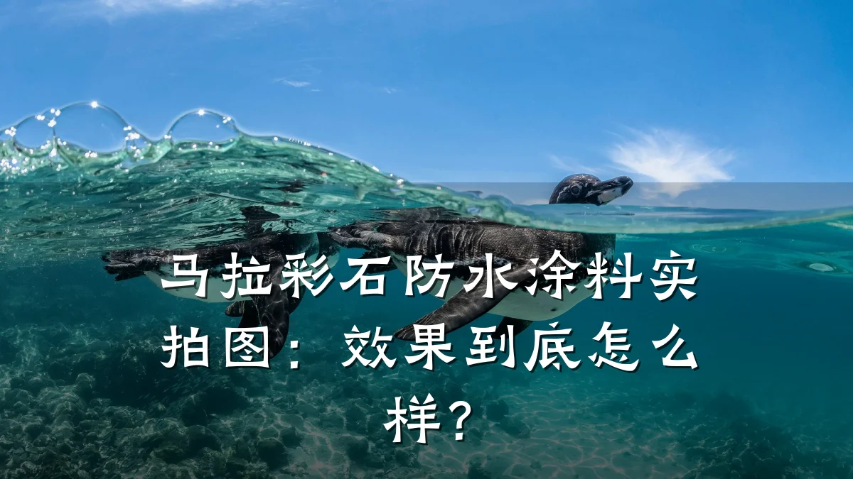 马拉彩石防水涂料实拍图：效果到底怎么样？