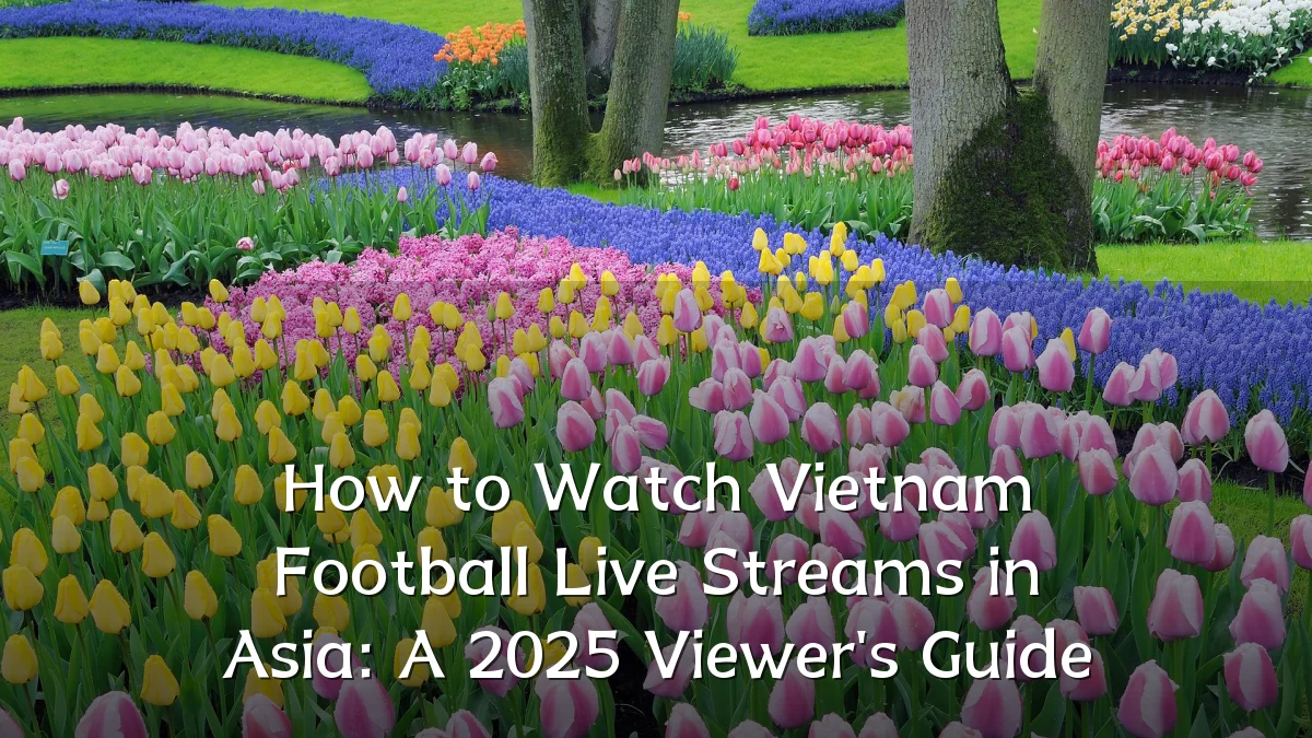 How to Watch Vietnam Football Live Streams in Asia: A 2025 Viewer's Guide