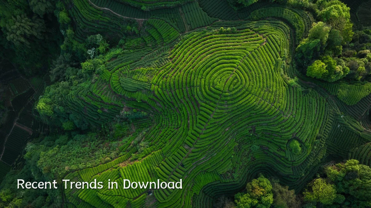 Recent Trends in Download